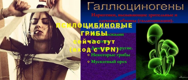 герыч Осташков