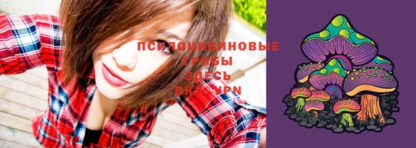 герыч Осташков