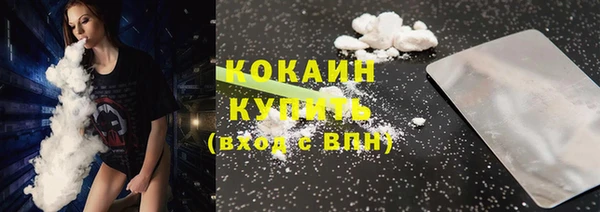 тгк Пестово