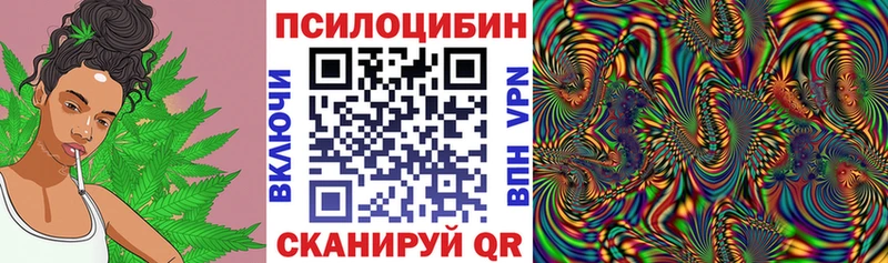 Псилоцибиновые грибы Psilocybine cubensis  KRAKEN сайт  Кремёнки 